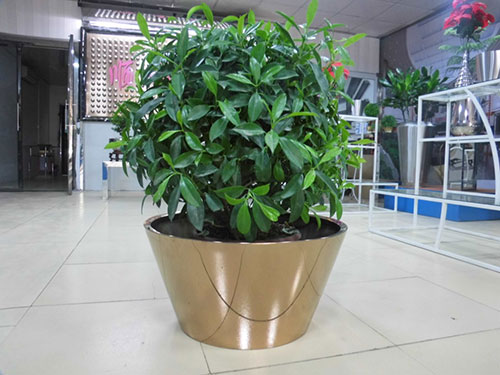 廣東汕頭不銹鋼花盆哪家做的好？